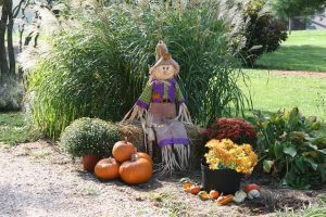 fiesta infantil de granja con espantapájaros