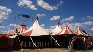 animación circo infantil tienda