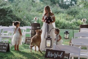 animacion bodas
