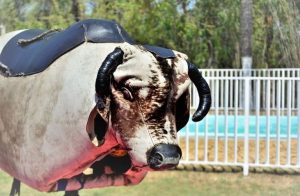 Juegos de toros mecánicos divertidos 