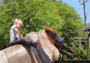 toros mecánicos infantiles atracción divertida