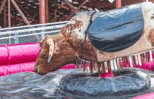 toro mecánico para bodas divertido