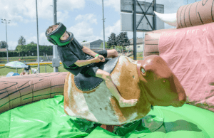 toro mecanico feria increible